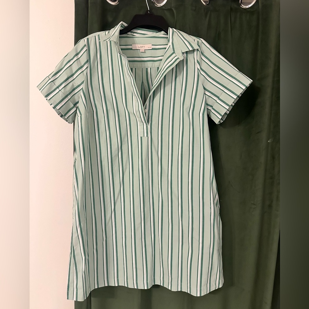 Loft Shirt dress (Petite M)